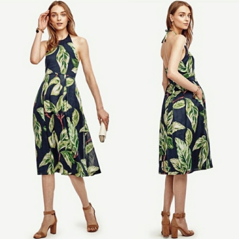 Ann Taylor Amalfi Palm Print Dress